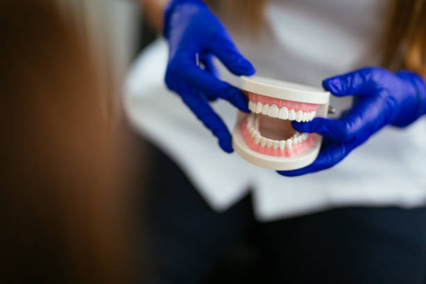 Trusted Greybull, WY  Holistic Dental Services Experts